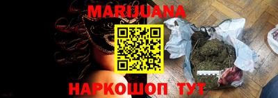 гидра Славгород