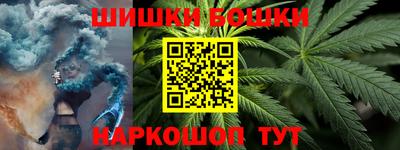 гидра Славгород