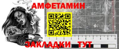 гидра Славгород