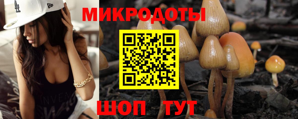 Печора  Галлюциногенные грибы прущие грибы  Вход с VPN 
